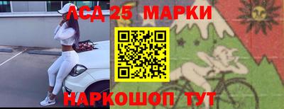 амф Кандалакша
