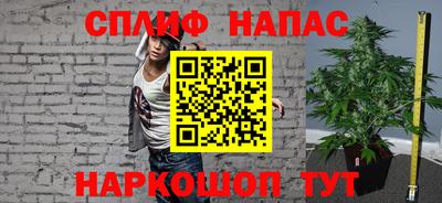 амф Кандалакша